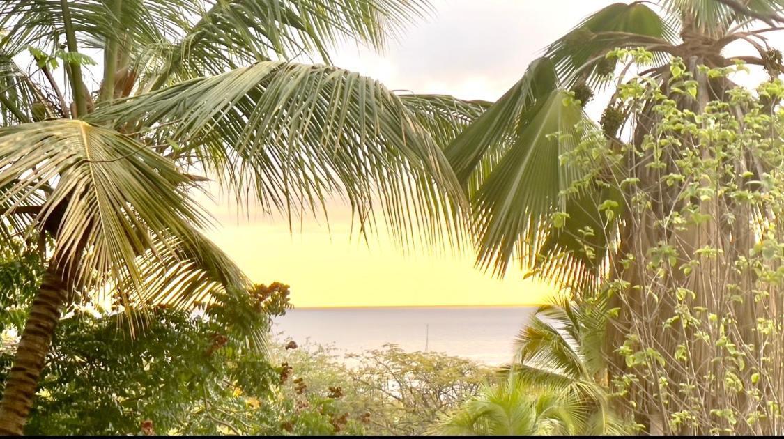 Location Gite Bungalow A 70M De La Plage Буйянт Екстериор снимка