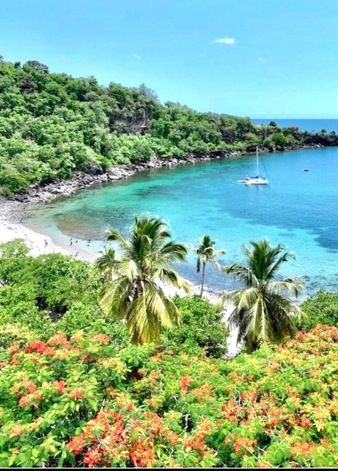 Location Gite Bungalow A 70M De La Plage Буйянт Екстериор снимка